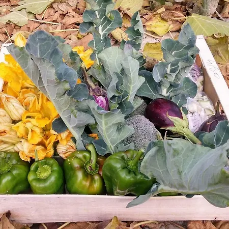 Bed & Breakfast Fico Bologna 453 3*