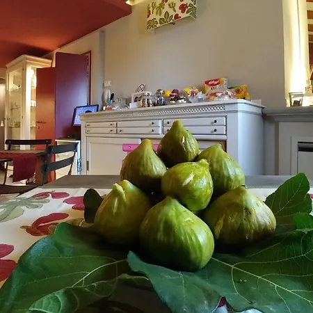 Fico Bologna 453 Trebbo Di Reno