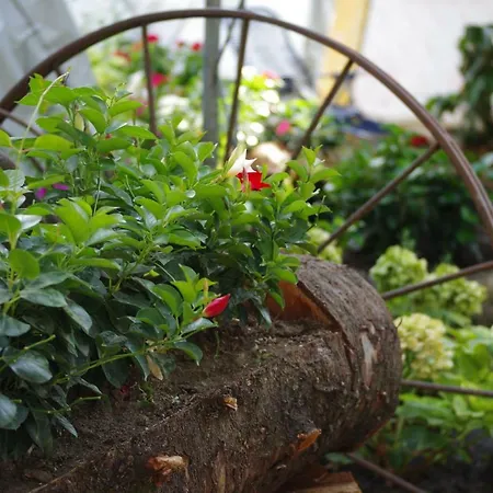 Fico Bologna 453 ベッド・アンド・ブレックファスト 3*