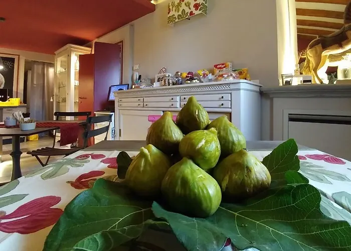 Fico Bologna 453 Trebbo Di Reno