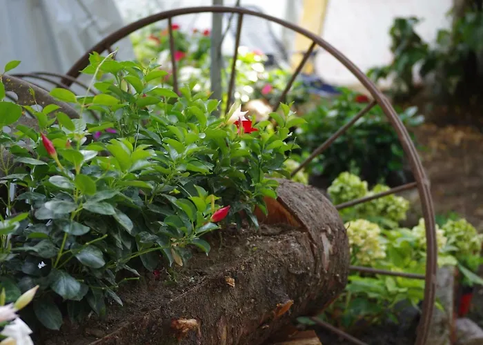 Fico Bologna 453 Couette-café 3*